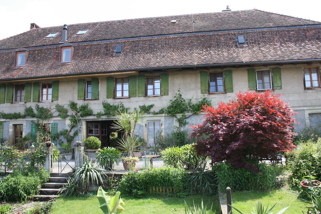 Ofenhaus Vila Murten Quarto foto